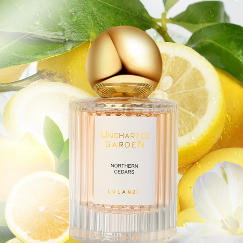 Perfume Fresh Citrus Jasmine F - Perfume Jasmine Fragrance review and price