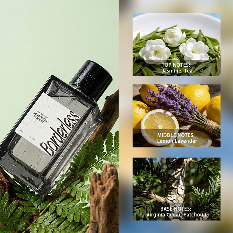 Luxury Borderless Men Perfume  - Perfume Jasmine Fragrance review and price
